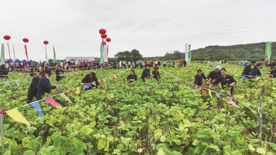 28815b3e-9fbe-4281-acec-f7332097892d