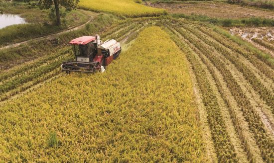 a3a7a123-f1c9-4ad9-919c-2175f1faf8fb