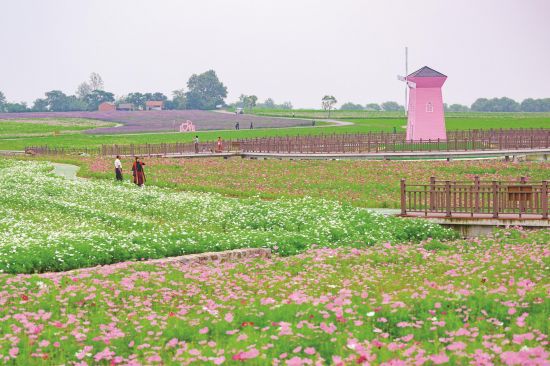 91ad987f-c52e-4094-ad63-a629120f4b8b