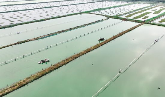 6af335ca-9f68-4353-a442-e0ab8ff7df41