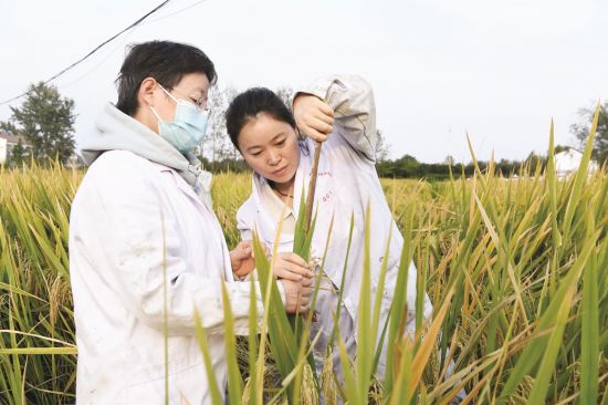 b768c027-4d0c-4d76-aa65-daacb81b50c9