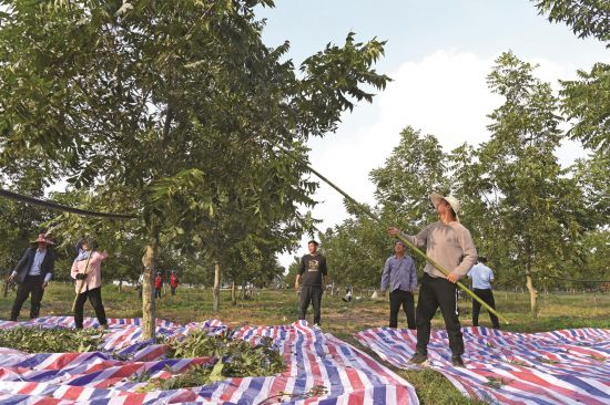 e285d858-ee60-4eb3-8011-ba72a6aa859c