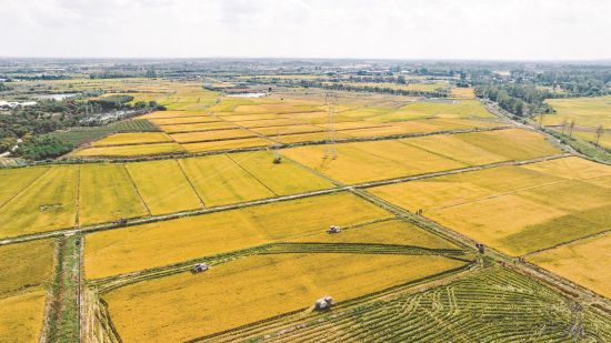 08c30126-25d6-4c8f-bd75-daccfe0bd330