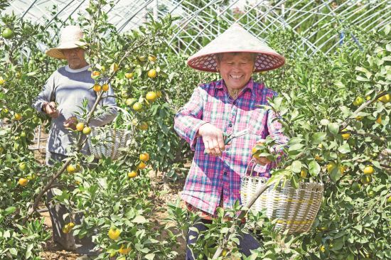 56766d8a-81c8-4a10-a34c-a268e663a7bc