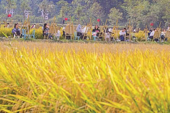 9e224a7b-4f94-4622-9805-5102eef33120