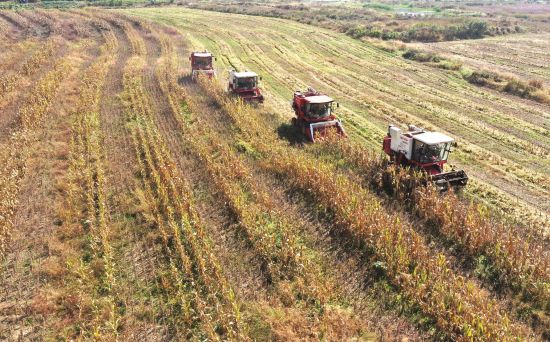 e4604fb0-1dd1-415f-b182-4e22381201bf