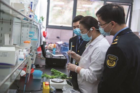 c2cfec9c-bad0-4aef-bd85-365e726f57b8