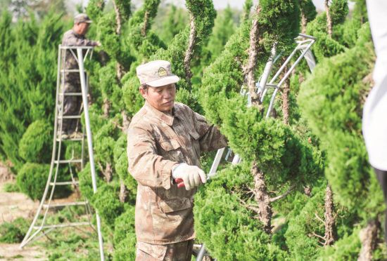 d41f9771-c4bc-45f5-902d-ff03756afcea