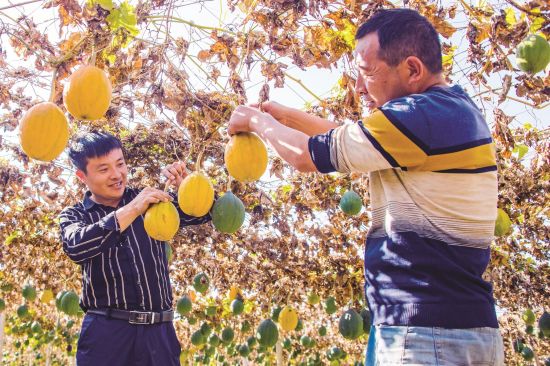 a4c32a7c-eee4-4a6c-91c7-4dcae46da9c1