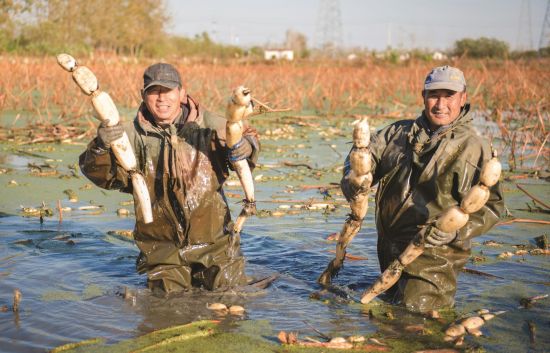 b9d4a4ee-ecb8-49f2-b91b-e723f1641985