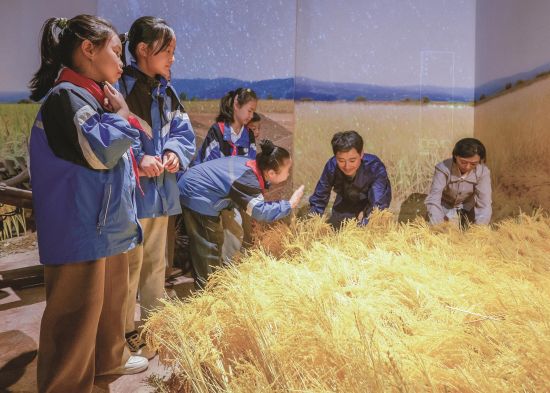 432e4642-aa3c-496e-ae6a-8104dcc95f65