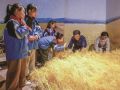 畅游乡愁忆馆 弘扬农耕文化