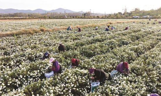 b19e7150-62a1-4500-a3a3-d635f42046f1