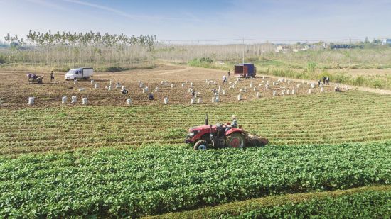 41ee37bb-a87a-4d30-8e17-b8cd6cc687dd (1)