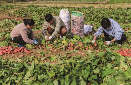 1add69f6-70ee-4e2e-b740-89bbfc93880c