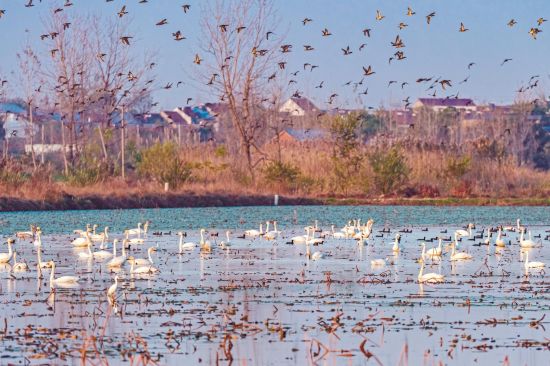 c7f5ce6b-b5ba-4870-9219-7b07056a2360