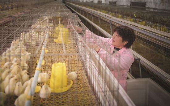 93c6b753-dd28-4206-bba1-ff40af465751