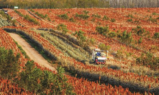 197ab21f-ea21-47b2-923b-449eddbe741d