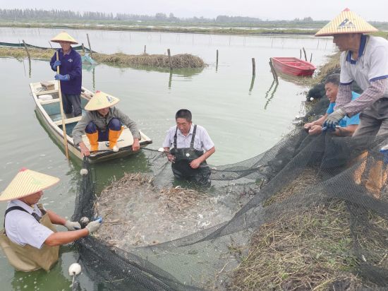 d4b80d97-2c4e-4031-884c-44e9c26e4db7