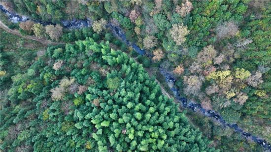旌德县俞村镇芳岱村一隅。人民网记者 陶涛摄
