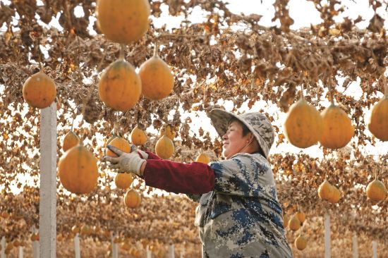 2bb86718-78e6-498e-8a07-f296ef2e31c3