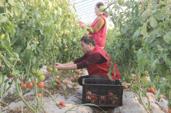 2c594040-96e0-494b-bc21-24cc474bb445