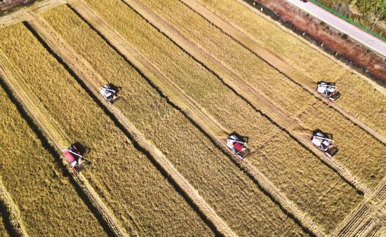 c71b9bdd-8a6a-4eb6-8516-514deb04f7d0