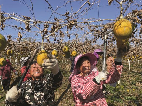 09799919-bd95-494b-b5bf-532145d3a51d