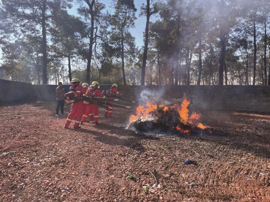 5f8d9f15-9623-46e8-975b-c3078aec6050