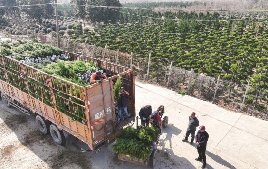 d1e18aed-c6bc-4b68-be4b-f7da1aef9af0