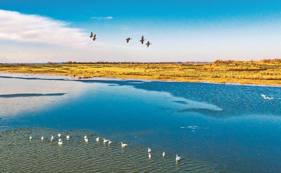 5c583fdf-30e3-4fa6-80be-e6ac39139a58