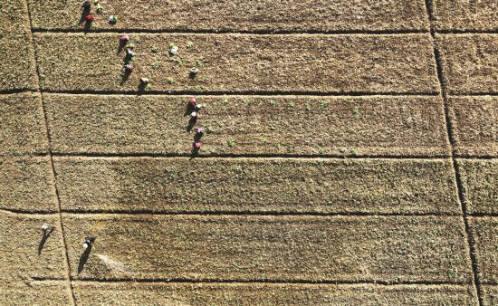 eff600a2-3c78-4eea-83de-a6c3c7ca3293