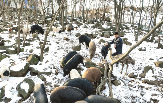 e4b8b3ba-c4ab-44b0-9e4a-2ad41488db61