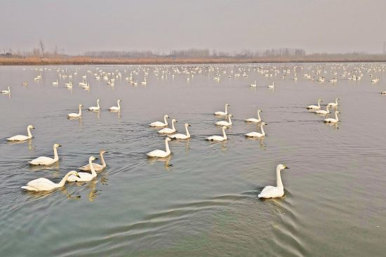 5ad0165b-3702-42ef-9657-cfbea9142f9f