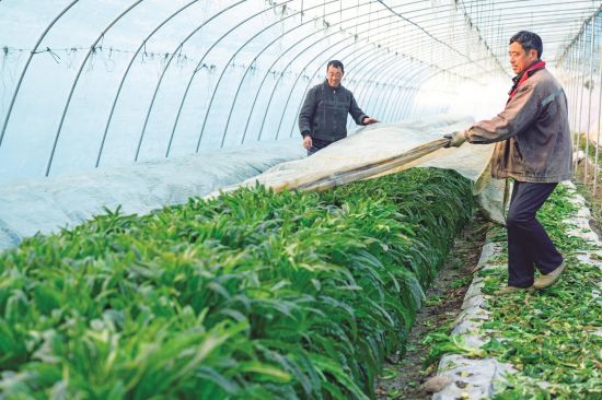 31a6dcca-bfb3-4d1f-8e49-543851b1cb75