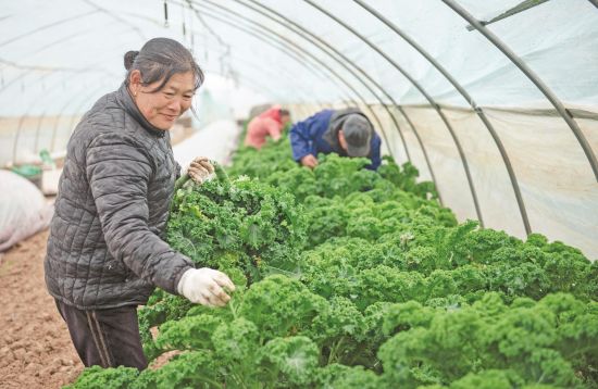 ac33c5ca-c0bf-459b-9279-90851d73dadb