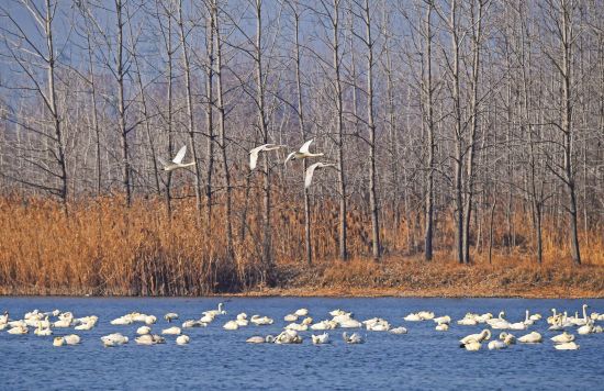 2616653a-3e52-489d-a213-6ec31b57c422