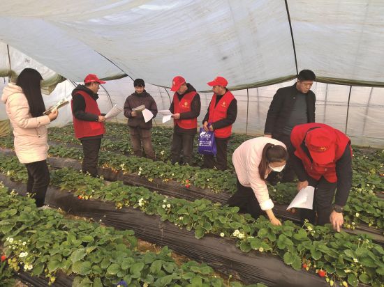 69da3e13-3f76-48c8-82c1-698f28050a87