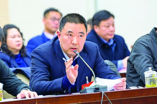 牛斌委员在审议政协工作报告