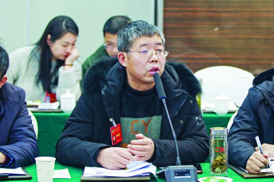 林如玉委员在审议政协工作报告