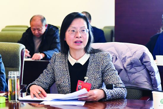 戴颖委员在审议政协工作报告