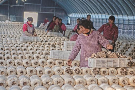 b1fcf871-b16d-4f8d-a22c-a74a8e0d25b8