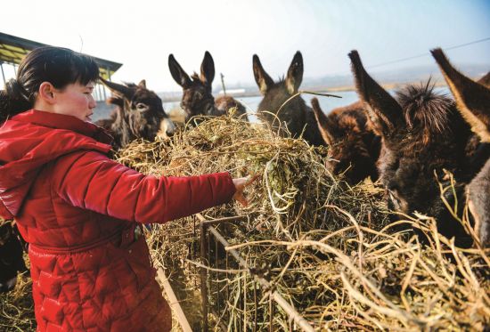 57818156-f74f-4c88-80ee-c6353685c339