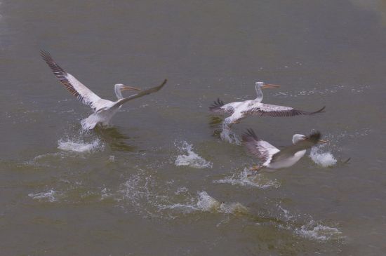 d384cbb0-5ef4-4cdb-8e38-12722531c327