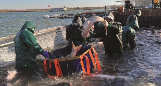 6d81bedd-c2c1-43e5-ac03-940c852bf738