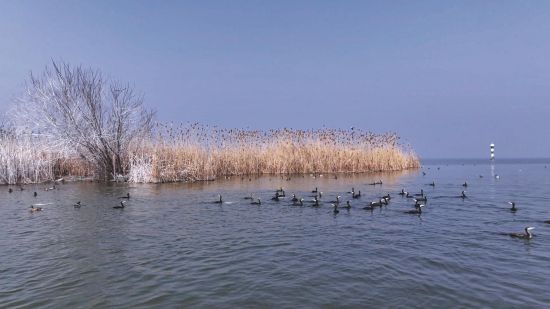 7523160a-c740-400f-aff8-264d9a371b6f