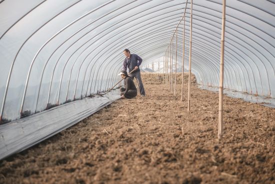 37d14f29-bc86-4c98-9c01-6a5a356ba916