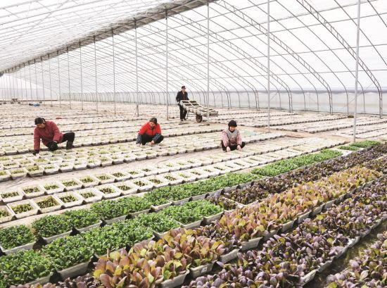 bf2dfd19-8e2b-438e-af84-6207d367bfe8