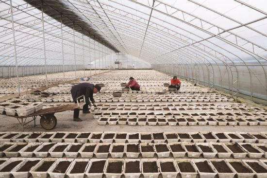 465e7496-9989-4afe-88e5-0e71bdfd6b14