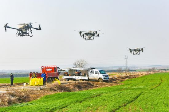 b677245e-ff6c-464d-852c-e0f4d8d37583